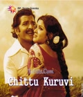 Chittu Kuruvi Poster